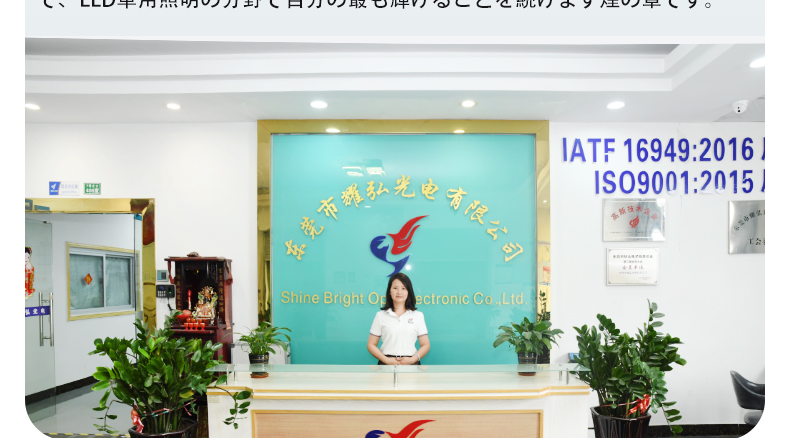 详情页_11.jpg
